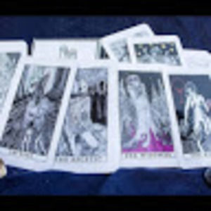 Meet your Posher, Bertina